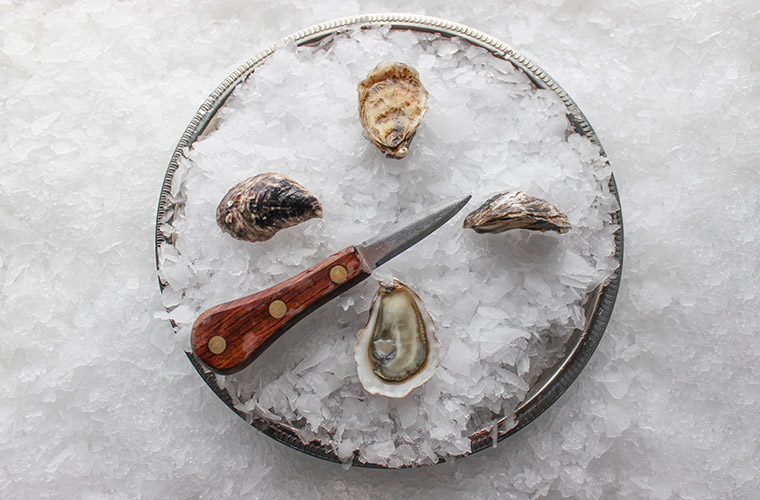 Kumamoto Oyster — Oysterology Online Pangea Shellfish Company